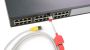 LAN Cable Link Lock & Dedicated Cable 2 meter 2 meter